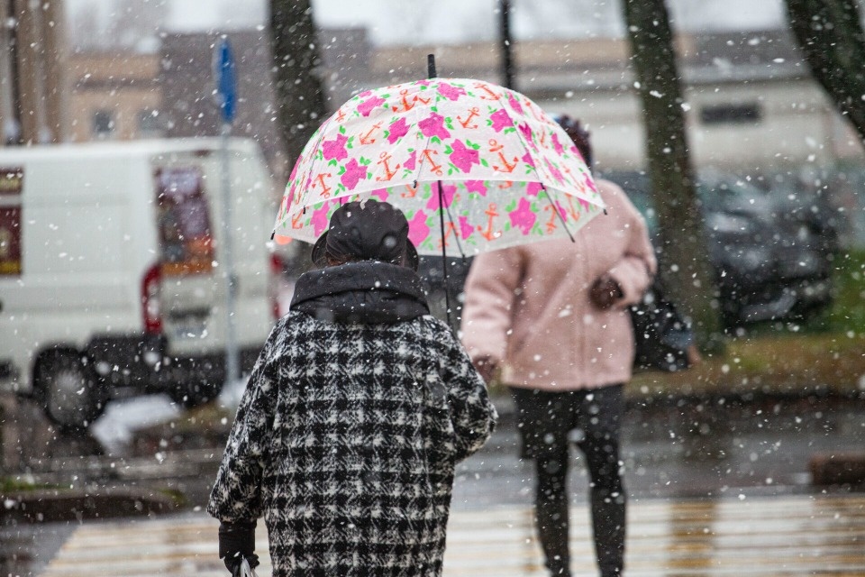 Мокрый снег накроет Псковскую область в выходные 