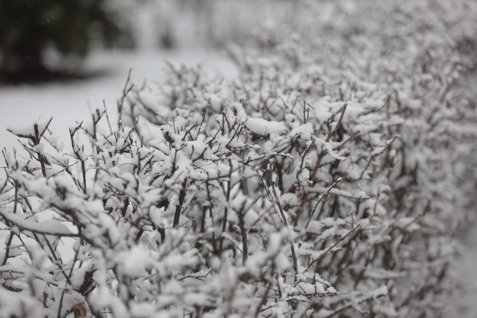 Снежная сказка Снежная сказка