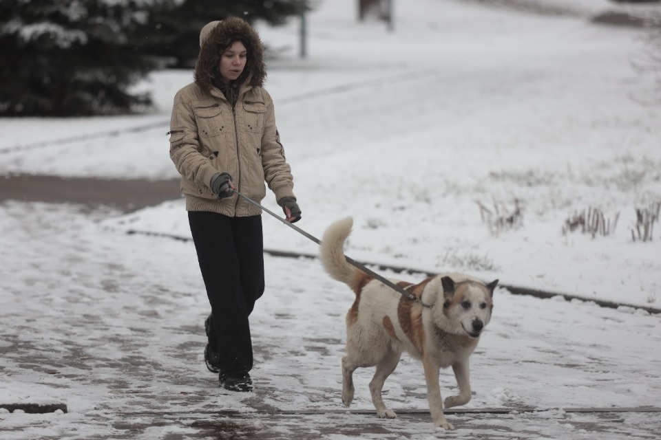 Снежная сказка Снежная сказка