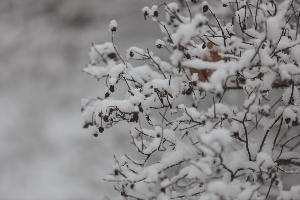 Снежная сказка Снежная сказка