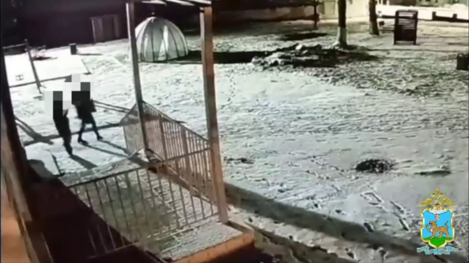 Библиотеку ограбили в Плюссе