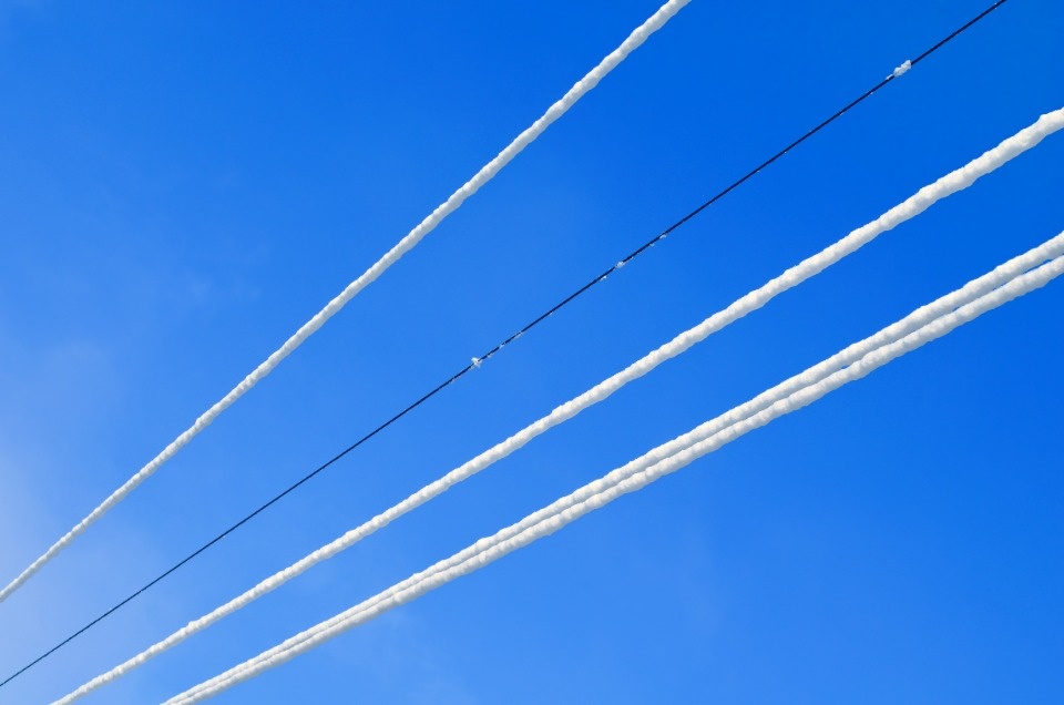 Псковичей предупреждают о налипании мокрого снега на провода 