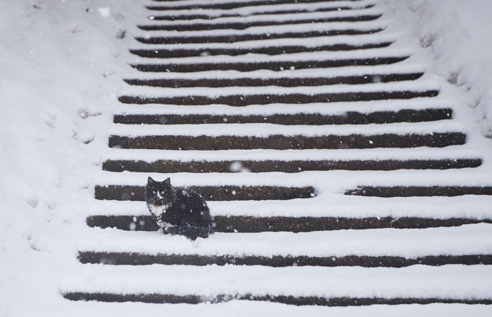 До +3 градусов ожидается в Псковской области 27 ноября 