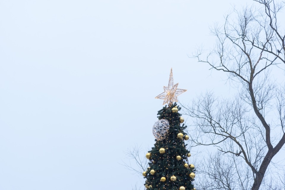 Псков предновогодний Псков предновогодний