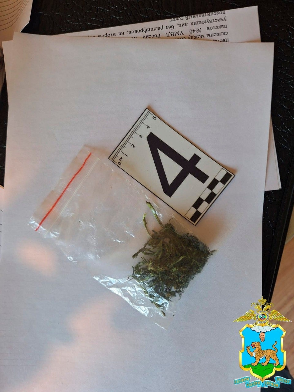 Полицейские ликвидирован наркопритон в Псковской области Полицейские ликвидирован наркопритон в Псковской области