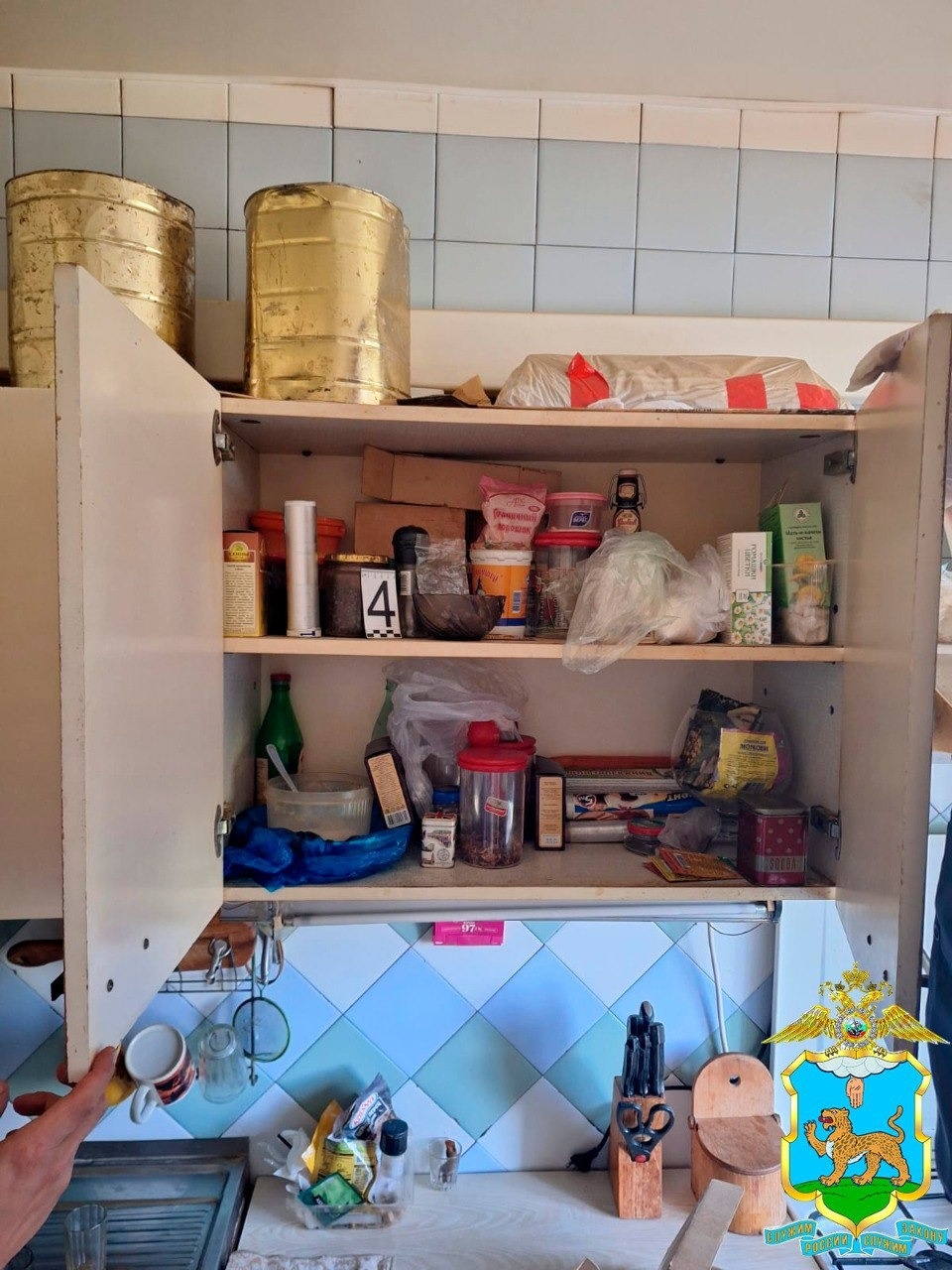 Полицейские ликвидирован наркопритон в Псковской области Полицейские ликвидирован наркопритон в Псковской области