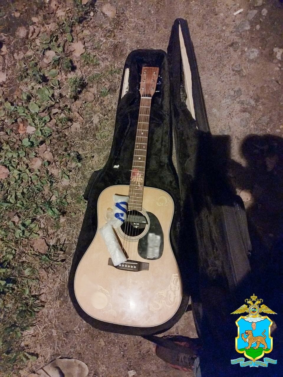 Набитую наркотиками гитару изъяла полиция в Псковской области 