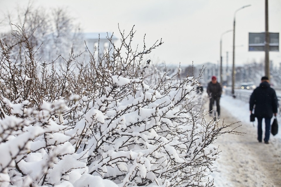 О сильном снегопаде ночью 15 декабря предупреждают псковичей 