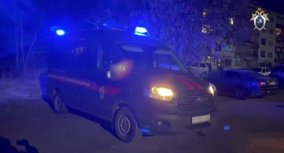 В Псковской области мужчину убили на улице из охотничьего ружья