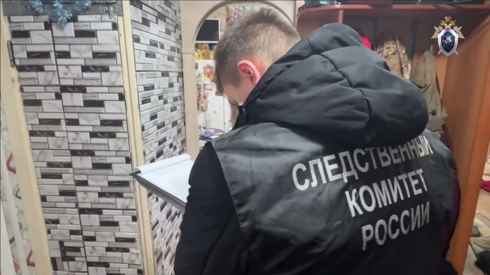 В Плюссе женщина зарезала своего сожителя во время ссоры