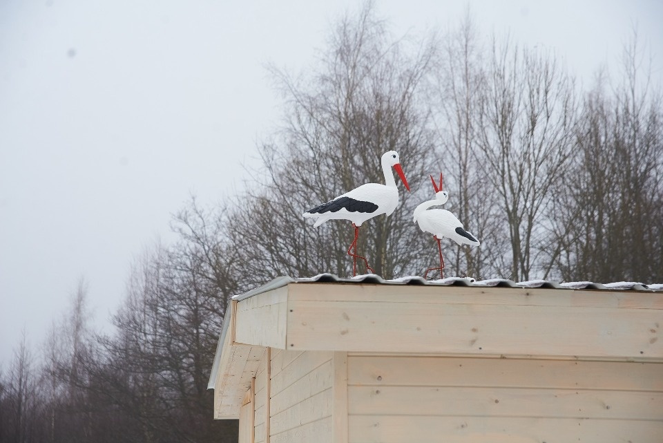До +5 градусов прогнозируется в Псковской области 17 декабря До +5 градусов прогнозируется в Псковской области 17 декабря