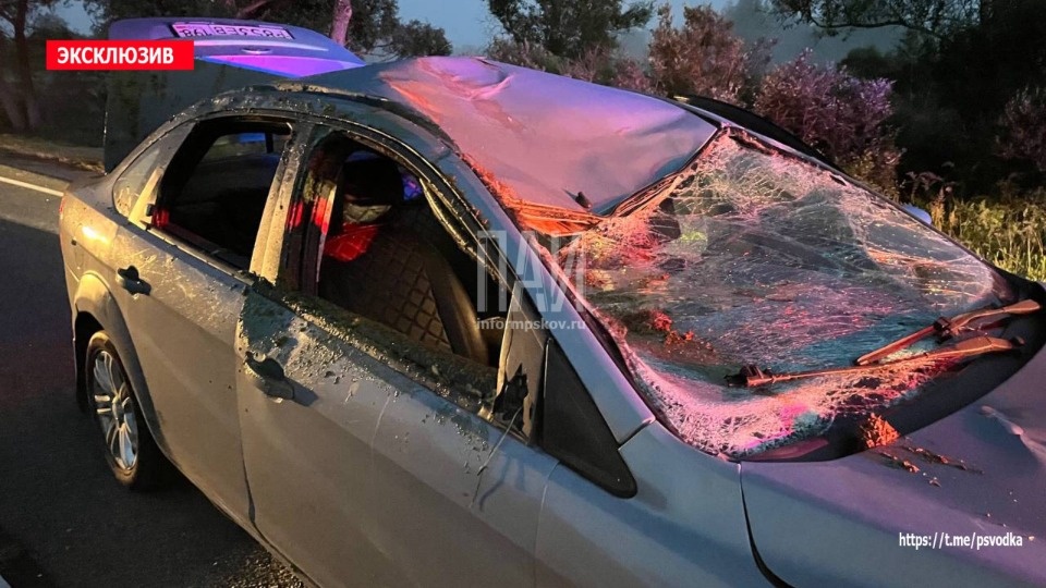 Водитель попал под суд за наезд на лося в Дедовичском районе