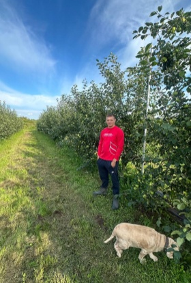 Экономика яблока