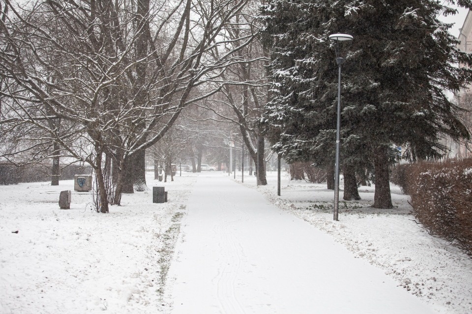 До -5 градусов ожидается в Псковской области 24 декабря  