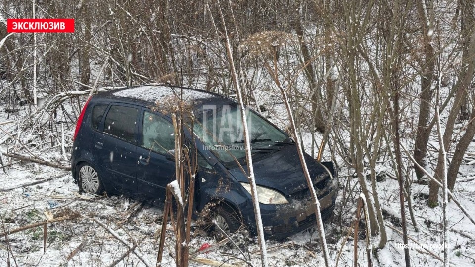 Водитель попал в ДТП в Дедовичском районе