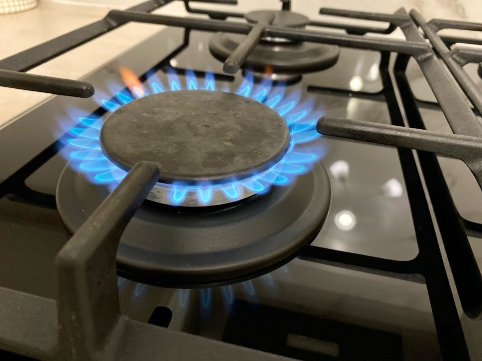 Итоги газификации и догазификации подвели в Псковской области