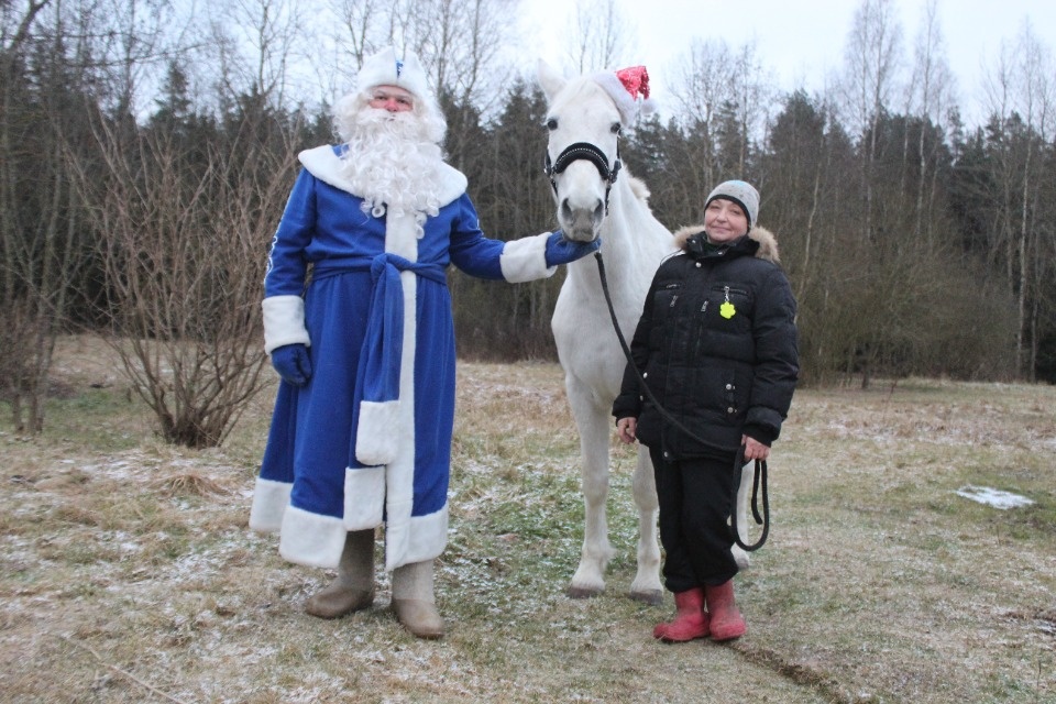 Хозяева года
