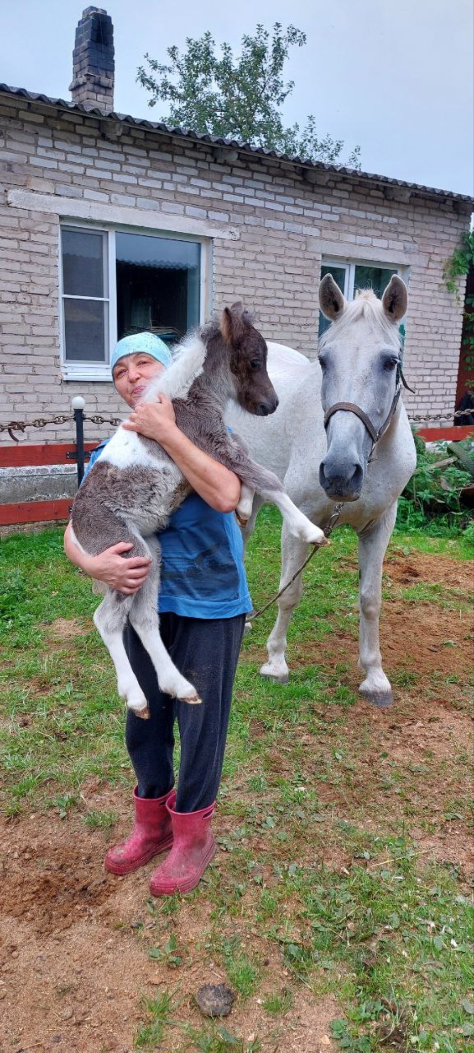 Хозяева года