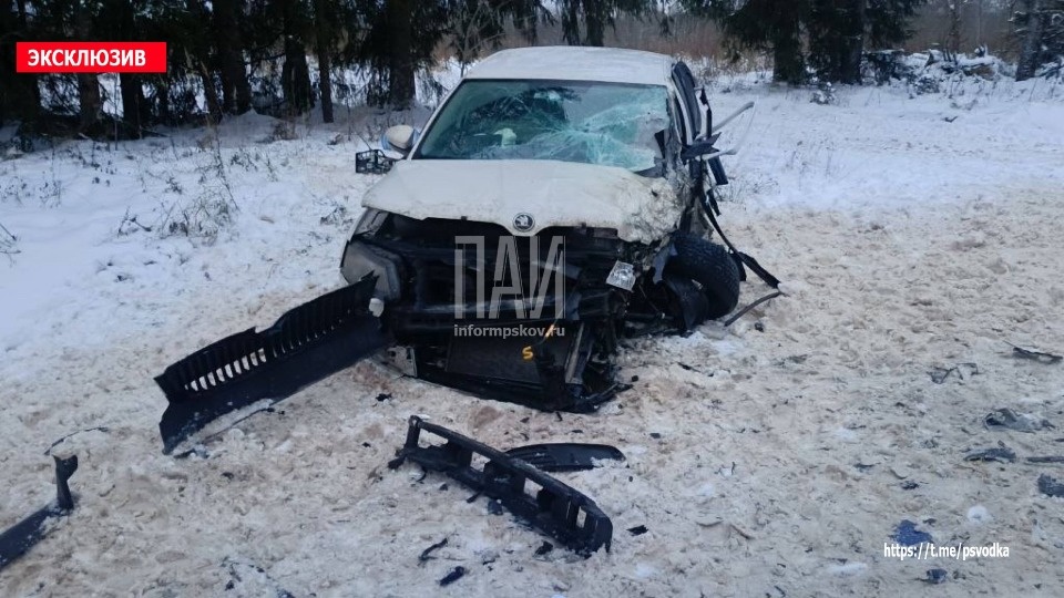 Смертельное ДТП произошло в Порховском районе Смертельное ДТП произошло в Порховском районе