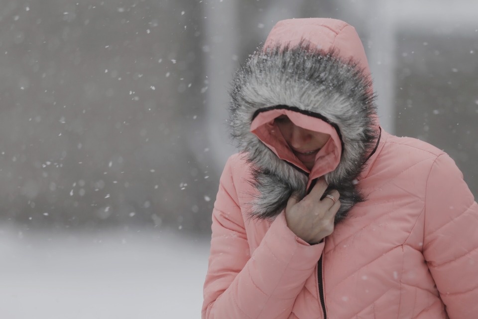 Сильный ветер накрыл Псковскую область