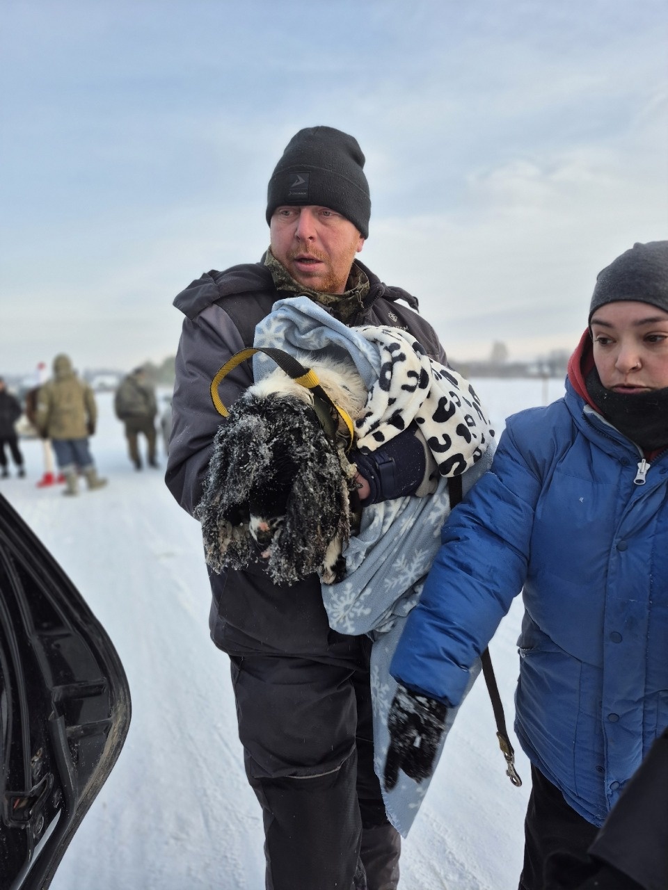 Псковские волонтеры спасают выброшенных на трассе собак