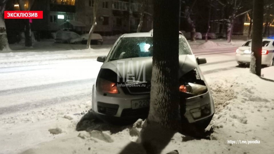 Водитель в Великих Луках погиб, врезавшись в дерево