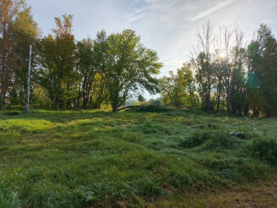 Полуфиналистом конкурса «Благоустрой» стал проект благоустройства центрального парка Порхова