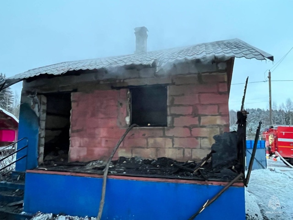 Мужчина погиб на пожаре в бане в Печорском районе