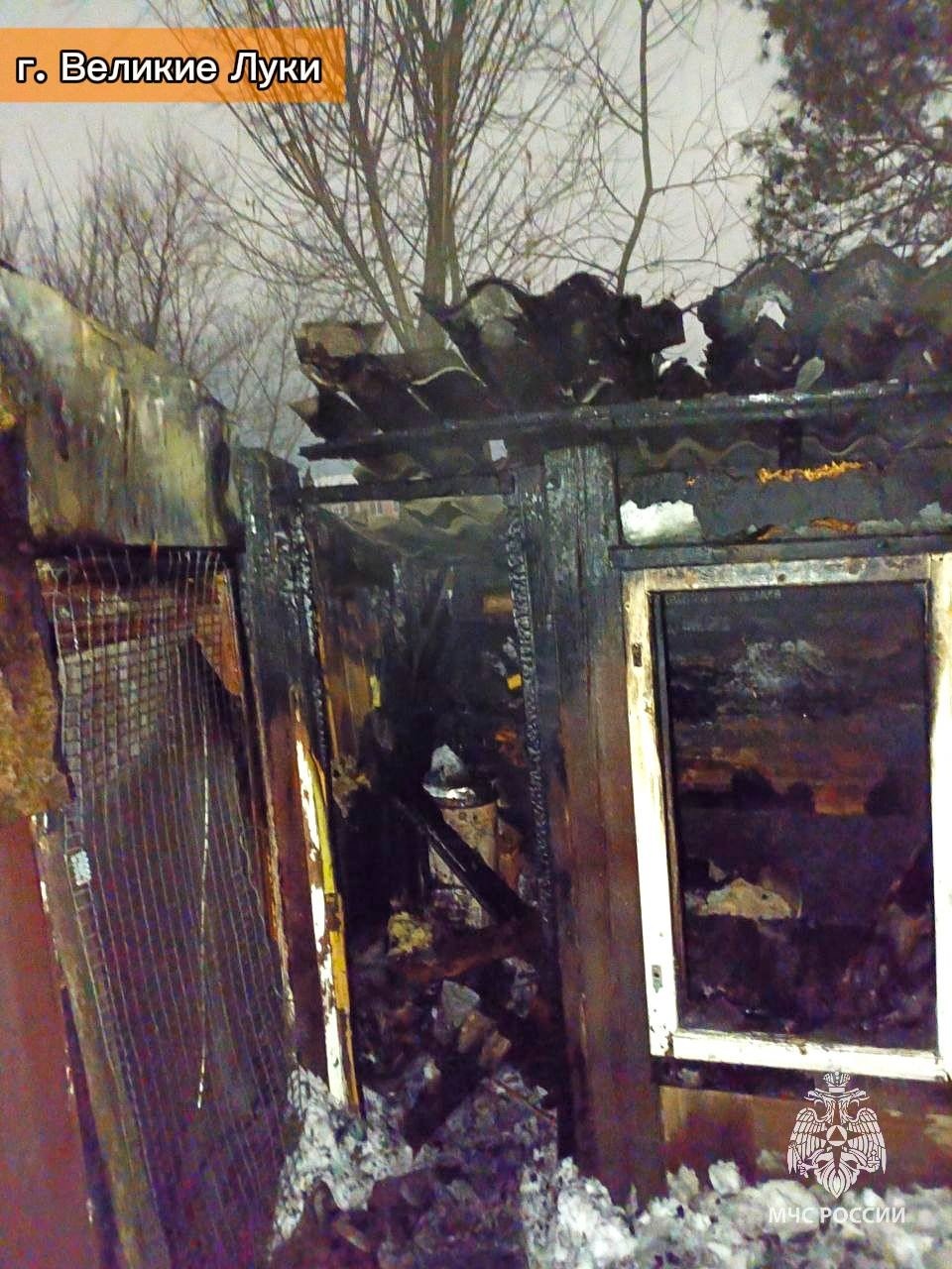 При пожаре в хозпостройке в Великих Луках спасли 40 кур При пожаре в хозпостройке в Великих Луках спасли 40 кур