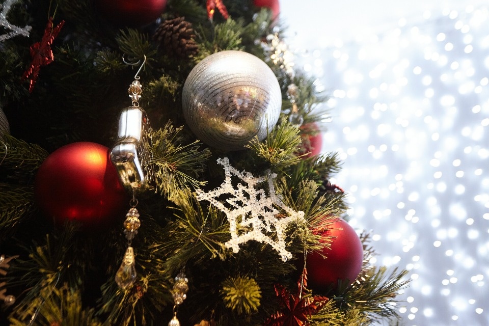 Куда псковичи могут сдать новогоднюю елку на переработку