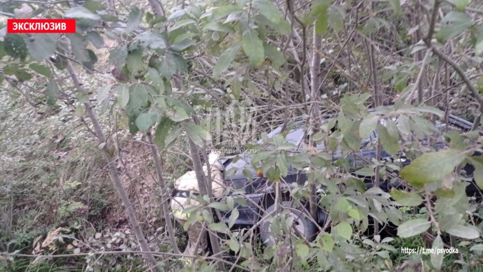 Пять лет колонии получил виновник смертельного ДТП в Красногорском районе Пять лет колонии получил виновник смертельного ДТП в Красногорском районе