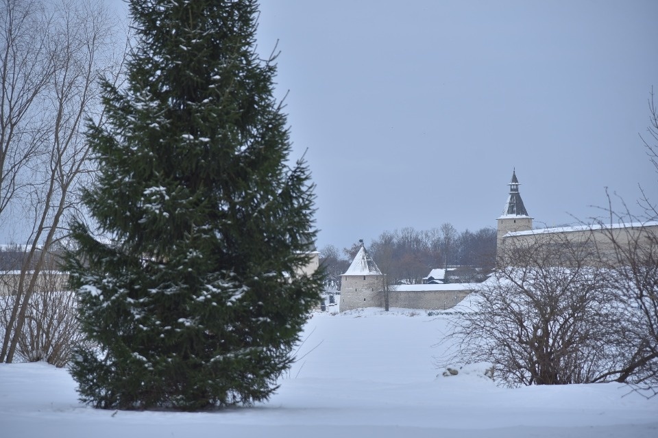 До -15 градусов ожидается в Псковской области 16 января