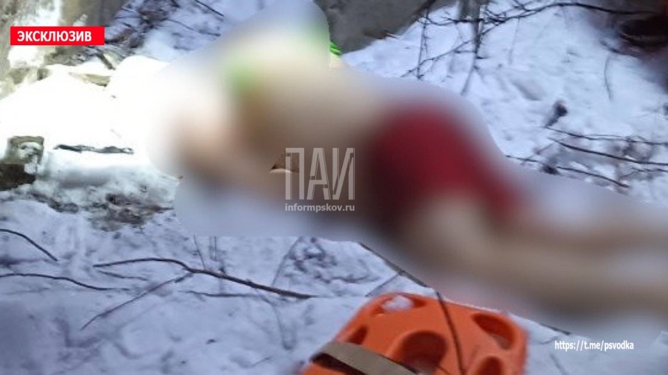 Женщина разбилась насмерть, упав с высоты в Пскове 