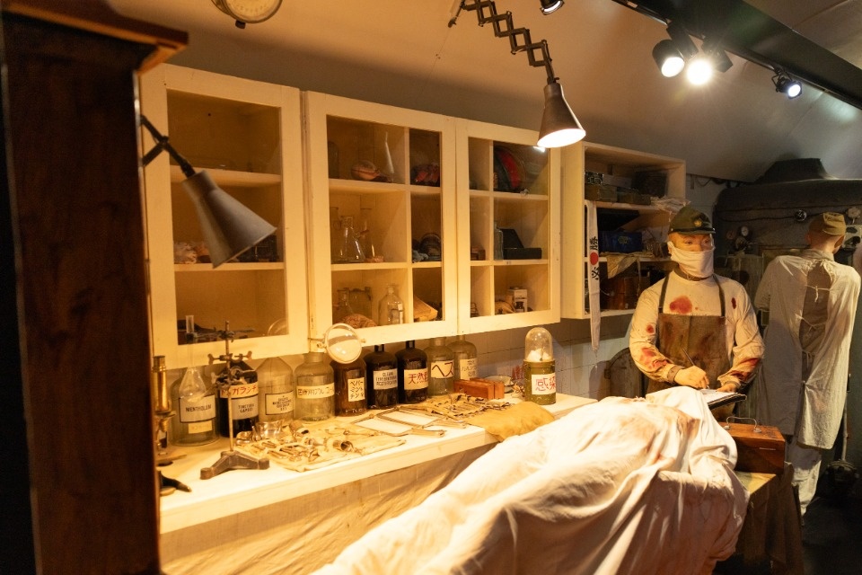 «Поезд Победы» в Пскове 