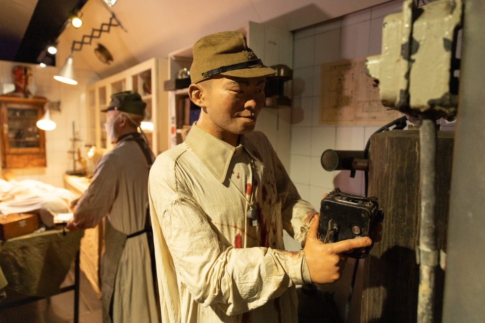 «Поезд Победы» в Пскове 