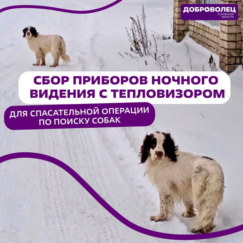 В приборах ночного видения для спасательной операции по поиску собак нуждаются псковские волонтеры