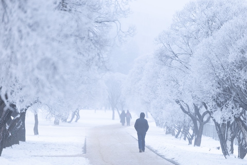 В Псковской области не зафиксировали экстремально низких температур В Псковской области не зафиксировали экстремально низких температур
