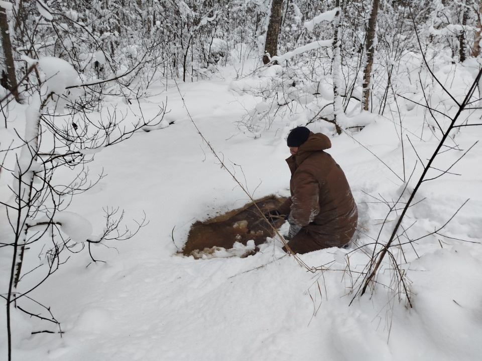 В Полистовском заповеднике маленькое болото поливают специальной водой