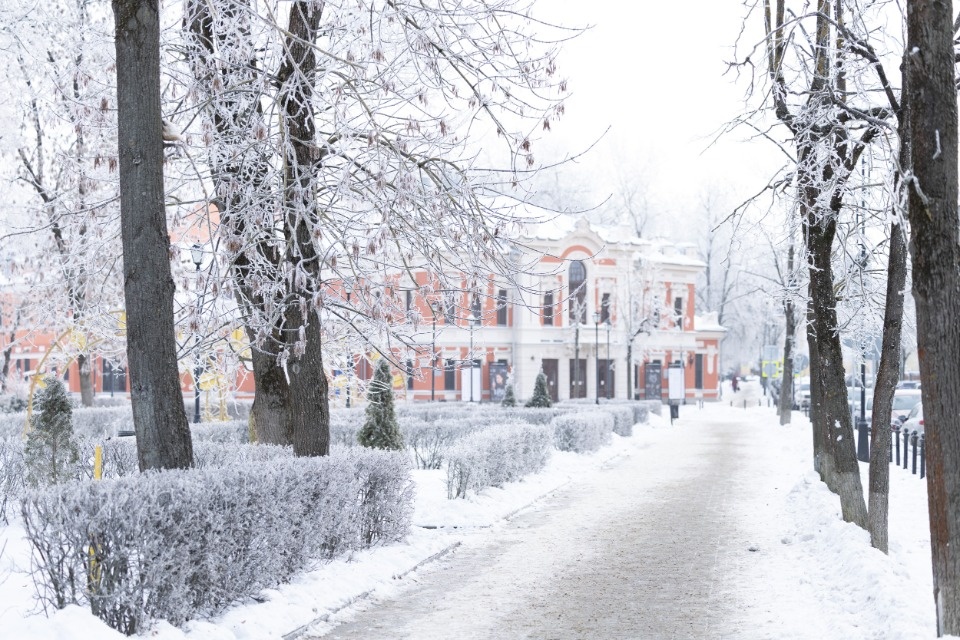 До -11 градусов ожидается в Псковской области 27 января