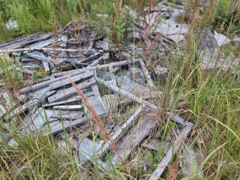 Ольга Алексеева: Псковская область – не антилидер по выявлению свалок