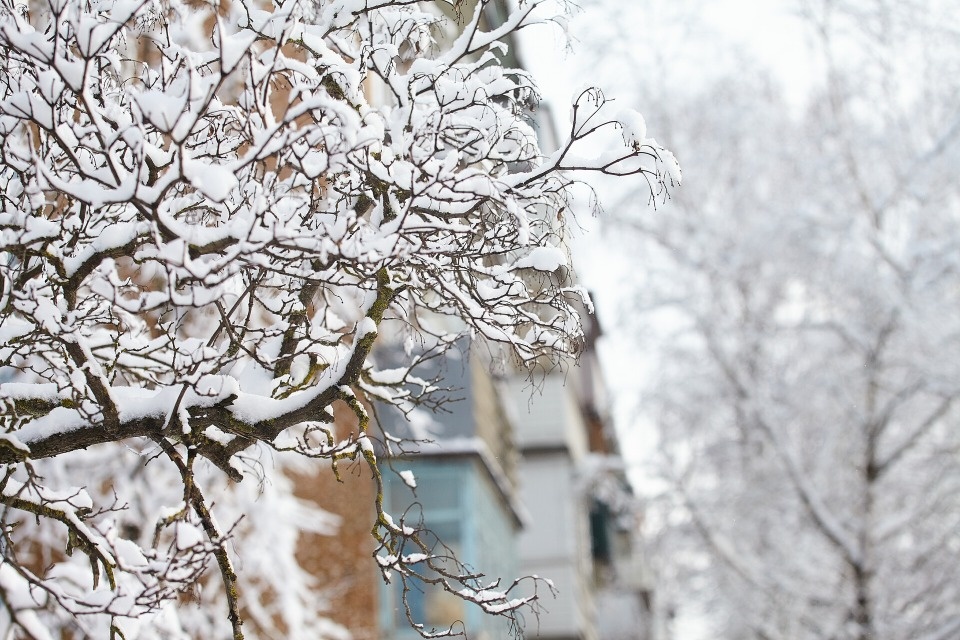Нынешняя зима в Великих Луках стала самой снежной за последние 32 года – исследование Нынешняя зима в Великих Луках стала самой снежной за последние 32 года – исследование