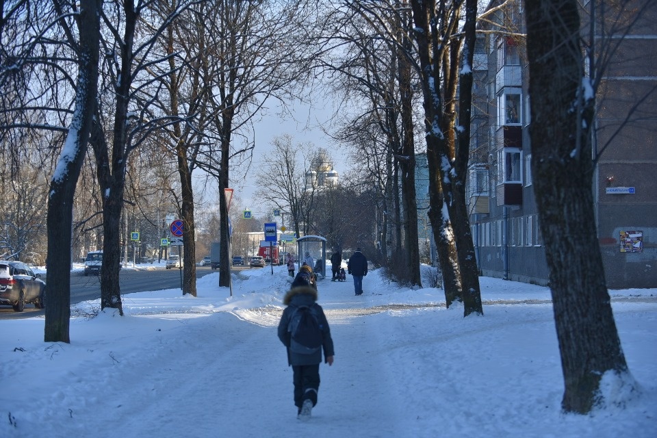 Метеоролог рассказала, что спасет псковичей от аномальных морозов