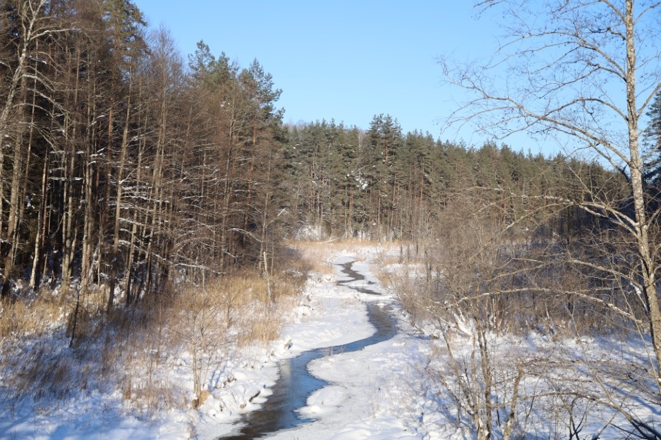 Зимушка-зима