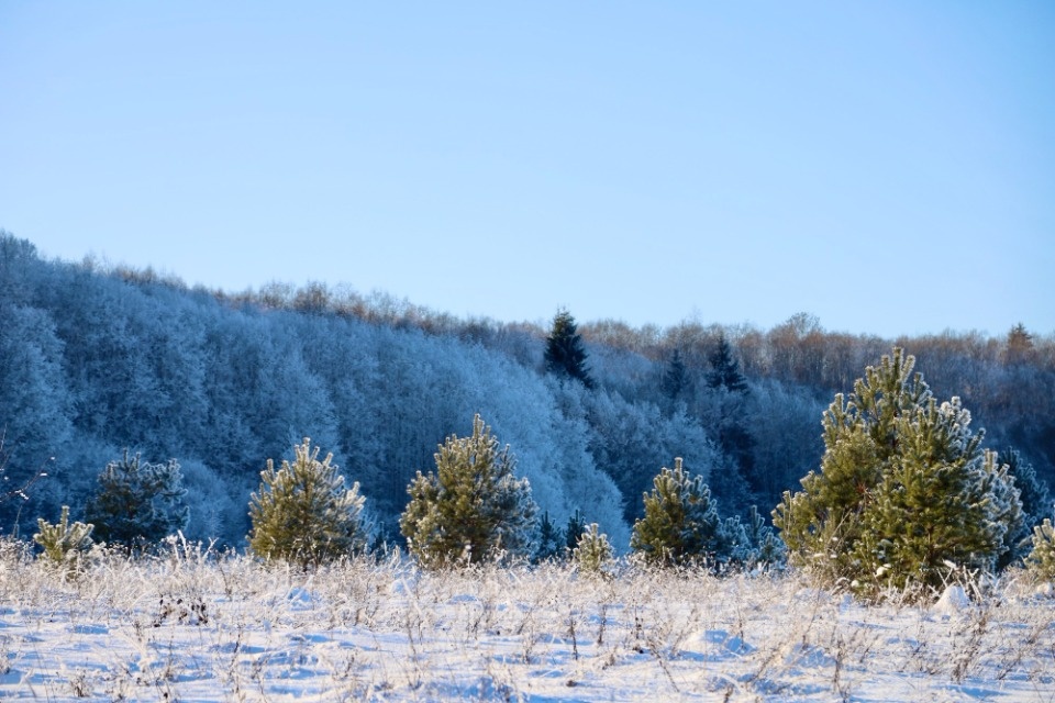 Зимушка-зима