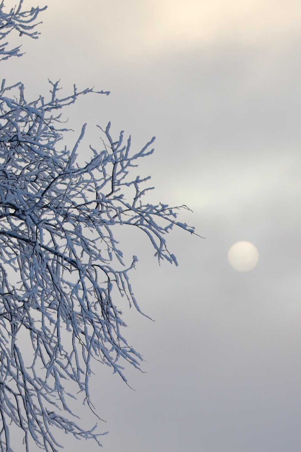 Зимушка-зима