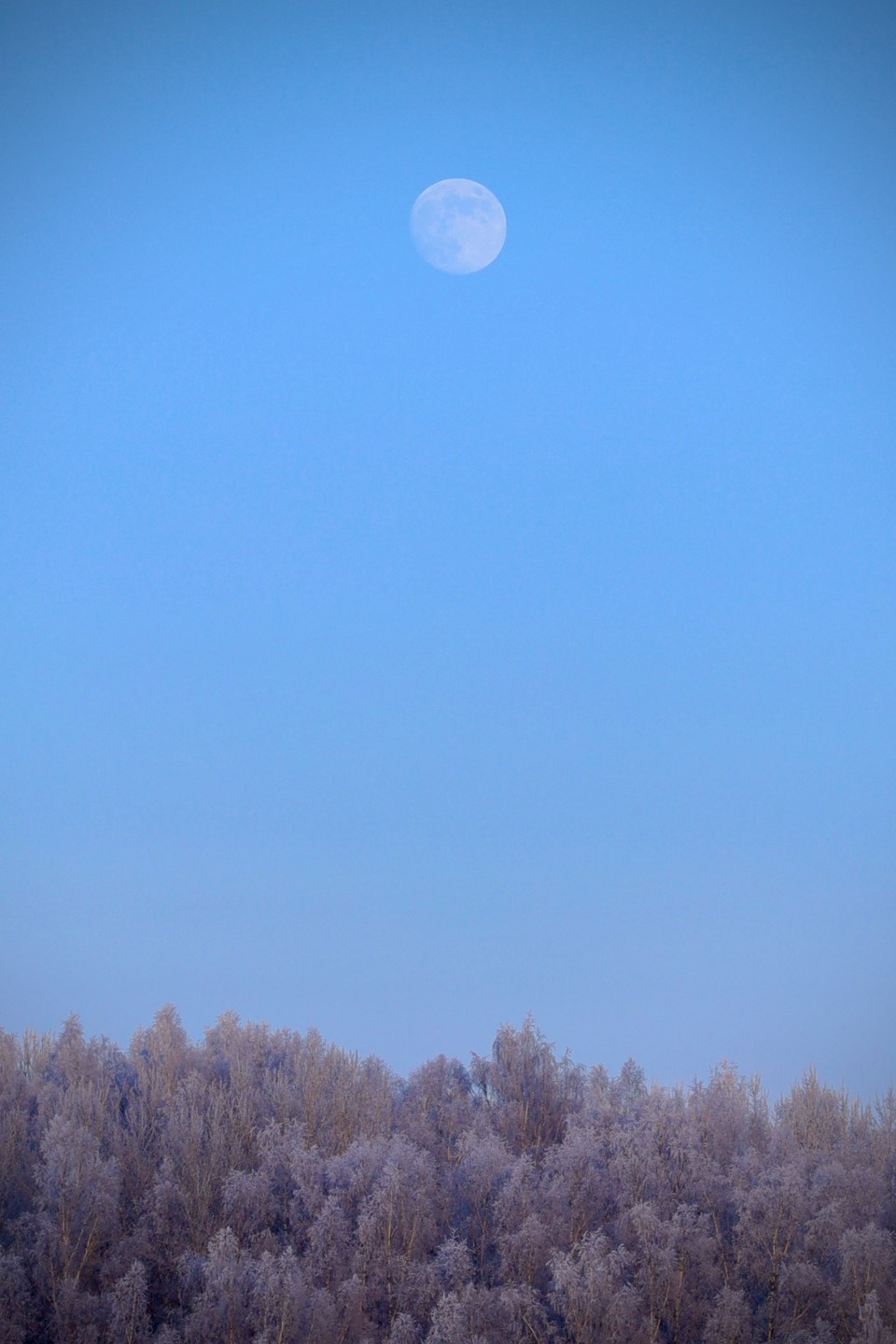 Зимушка-зима