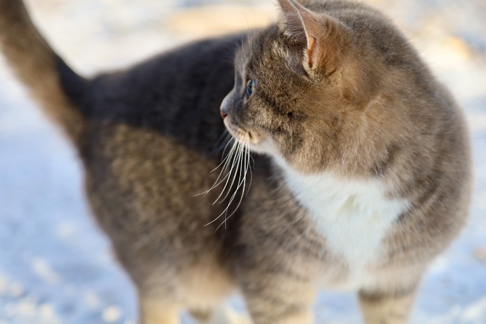 Зимушка-зима