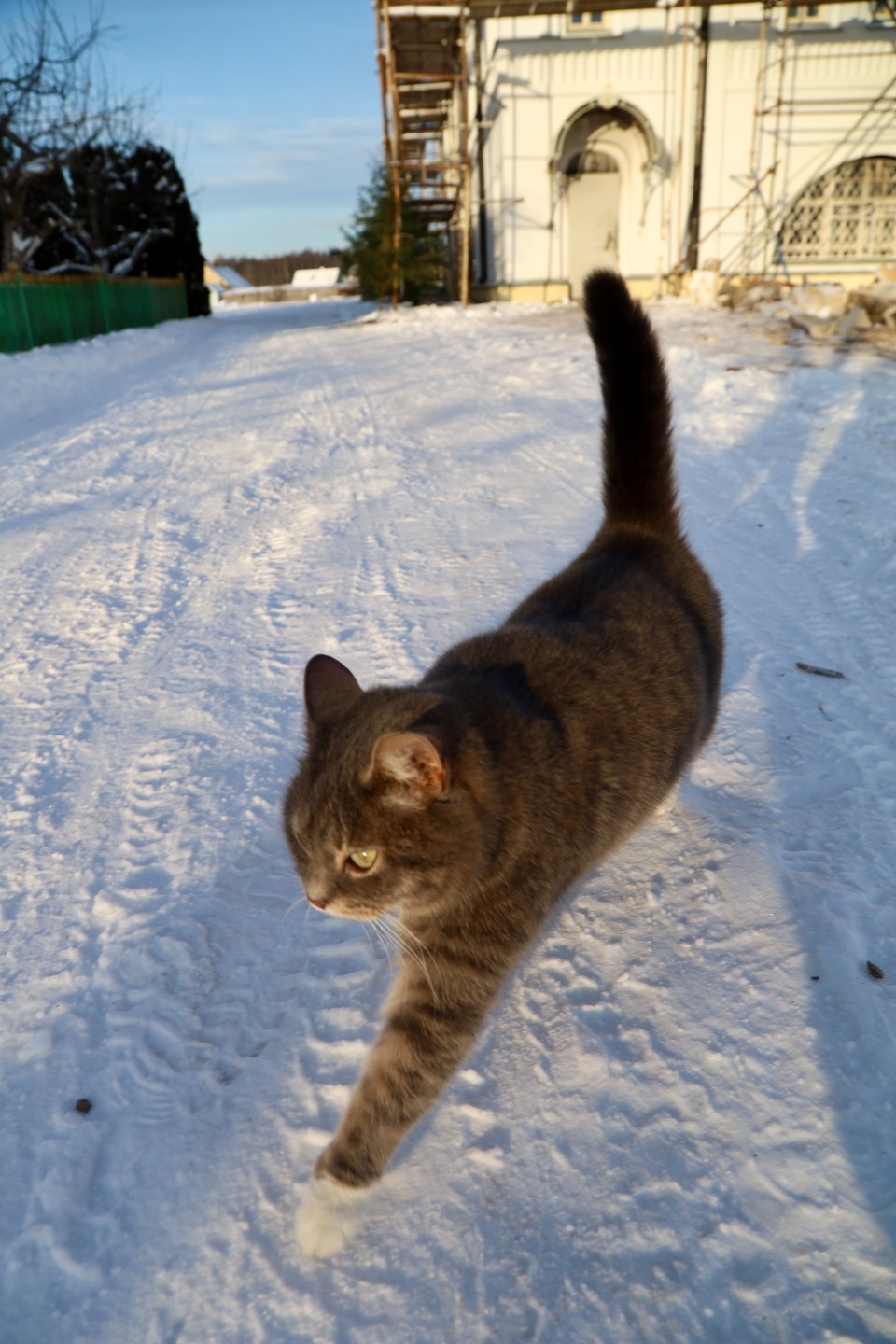 Зимушка-зима