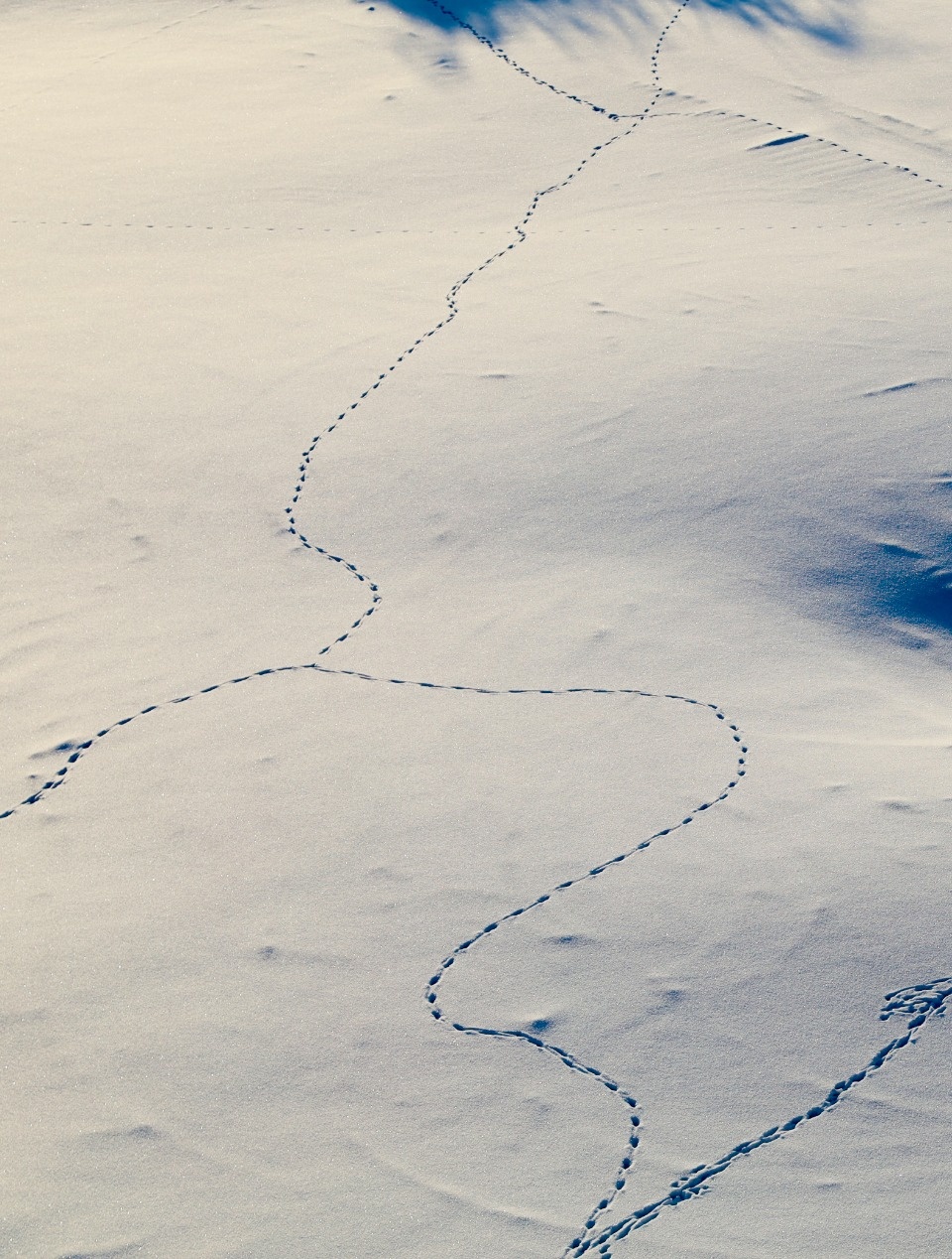 Зимушка-зима