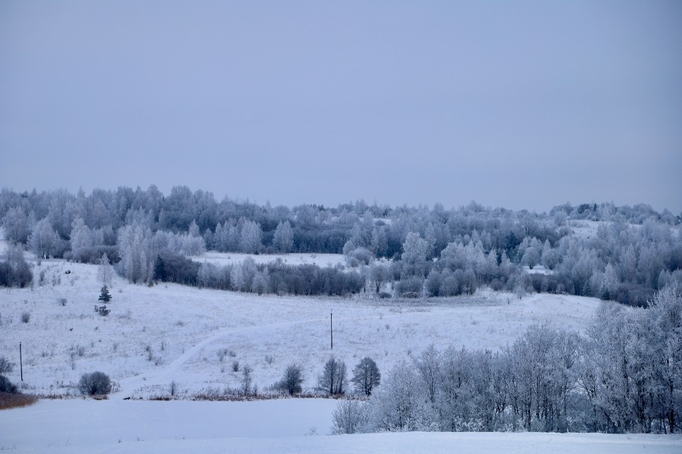 Зимушка-зима